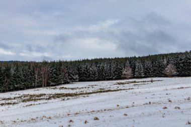 Thüringen Ormanı 'nın zirvesinde Struth-Helmershof - Thüringen yakınlarında kış yürüyüşü