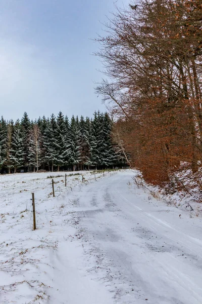 Winter Walk Heights Thuringian Forest Struth Helmershof Thuringia — Fotografia de Stock
