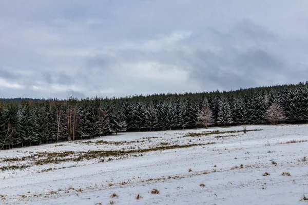 Thüringen Ormanı 'nın zirvesinde Struth-Helmershof - Thüringen yakınlarında kış yürüyüşü