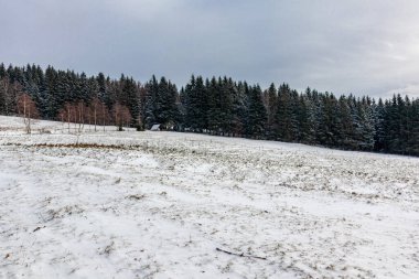 Thüringen Ormanı 'nın zirvesinde Struth-Helmershof - Thüringen yakınlarında kış yürüyüşü