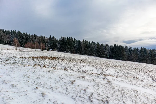 Winter Walk Heights Thuringian Forest Struth Helmershof Thuringia — Foto Stock