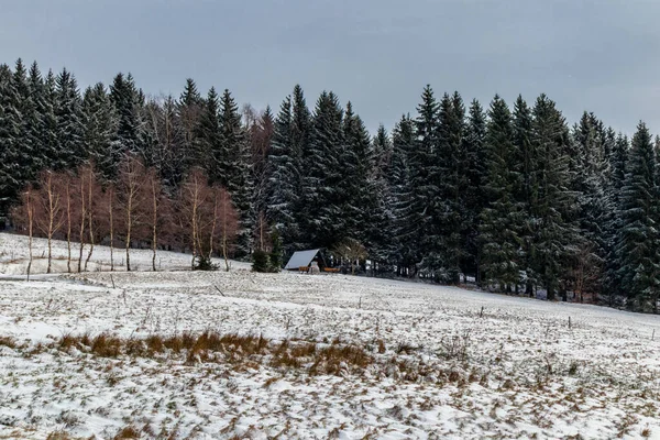 Talvi Kävellä Korkeuksilla Thüringenin Metsän Lähellä Struth Helmershof Thüringen — kuvapankkivalokuva