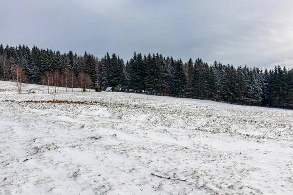 Thüringen Ormanı 'nın zirvesinde Struth-Helmershof - Thüringen yakınlarında kış yürüyüşü