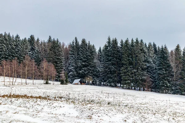 Зимняя Прогулка Вершинам Тюрингского Леса Возле Справедливо Хельмерсхофа Тюрингия — стоковое фото