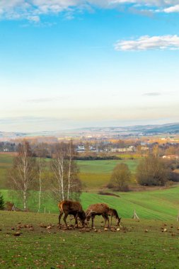 Soğuk bir kış günü, güzel Werratal boyunca Breitungen - Seeblick