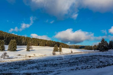 Winter walk in the winter wonderland Thuringian Forest near Steinbach-Hallenberg - Germany