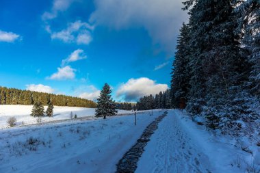 Winter walk in the winter wonderland Thuringian Forest near Steinbach-Hallenberg - Germany