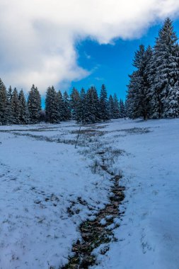 Winter walk in the winter wonderland Thuringian Forest near Steinbach-Hallenberg - Germany