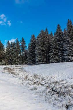 Winter walk in the winter wonderland Thuringian Forest near Steinbach-Hallenberg - Germany