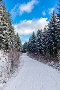 Winter walk in the winter wonderland Thuringian Forest near Steinbach-Hallenberg - Germany