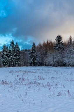 Winter walk in the winter wonderland Thuringian Forest near Steinbach-Hallenberg - Germany