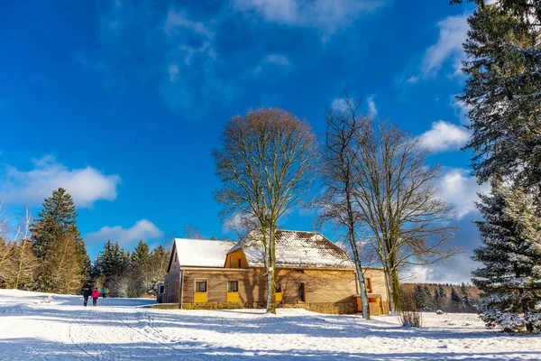 Winter Walk Winter Wonderland Thuringian Forest Steinbach Hallenberg Germany — стоковое фото