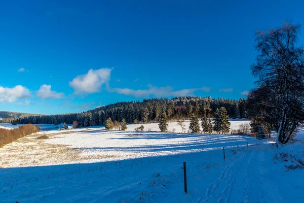 Paseo Invierno Maravilloso Bosque Turingia Cerca Steinbach Hallenberg Alemania — Foto de Stock