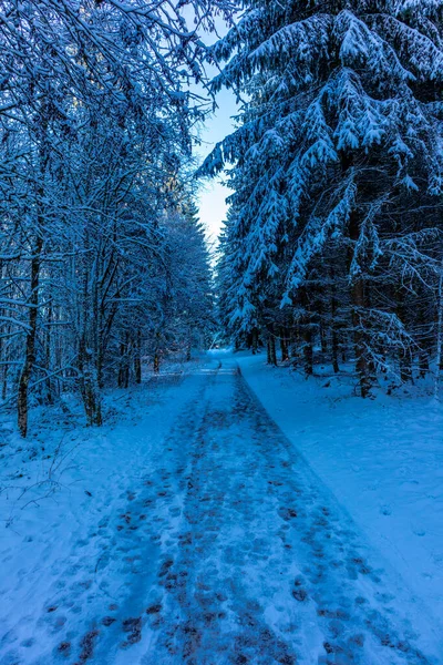 Winter Walk Winter Wonderland Thuringian Forest Steinbach Hallenberg Germany — Stock Photo, Image