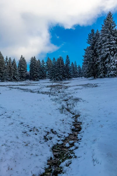 Paseo Invierno Maravilloso Bosque Turingia Cerca Steinbach Hallenberg Alemania — Foto de Stock