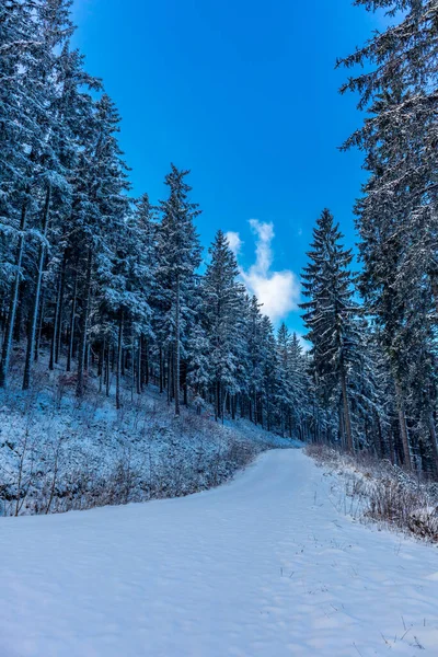 Χειμερινή Βόλτα Στη Χώρα Των Θαυμάτων Του Χειμώνα Thuringian Δάσος — Φωτογραφία Αρχείου