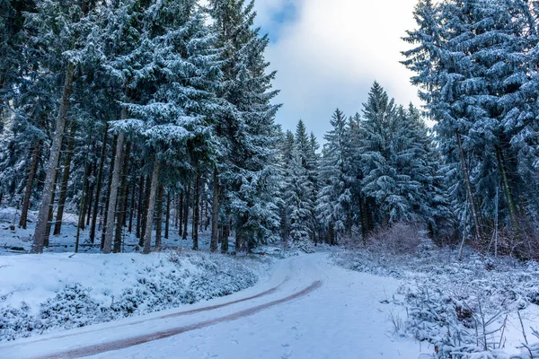 Χειμερινή Βόλτα Στη Χώρα Των Θαυμάτων Του Χειμώνα Thuringian Δάσος — Φωτογραφία Αρχείου
