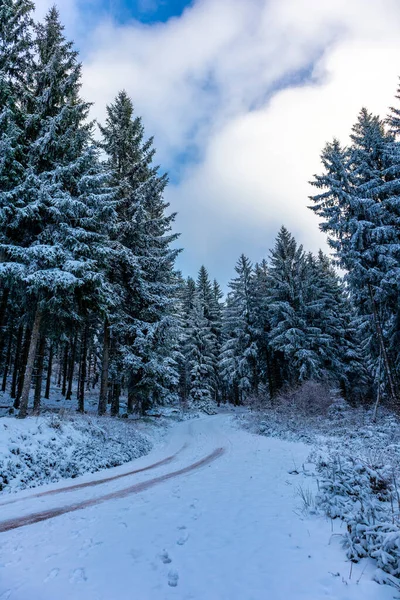 Winter walk in the winter wonderland Thuringian Forest near Steinbach-Hallenberg - Germany
