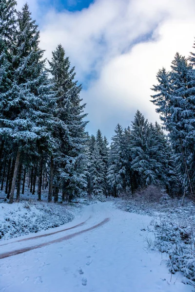 Winter Walk Winter Wonderland Thuringian Forest Steinbach Hallenberg Germany — Stock Fotó