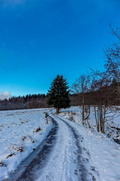 Winter Walk Winter Wonderland Thuringian Forest Steinbach Hallenberg Germany — Foto de Stock