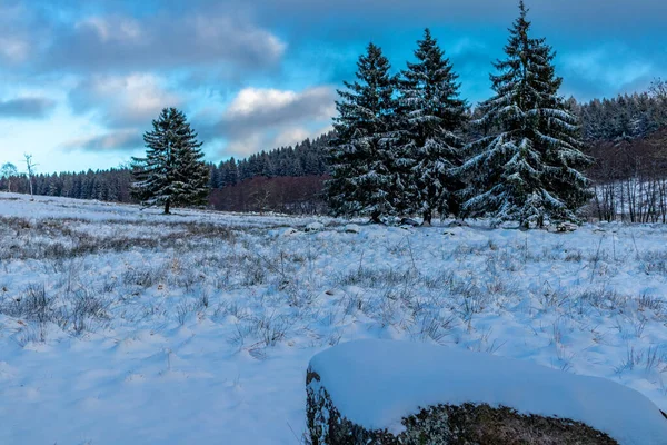 Winter Walk Winter Wonderland Thuringian Forest Steinbach Hallenberg Germany — Stock Fotó