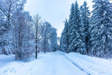 Beautiful winter hike to the mountain lake on the Rennsteig near Floh-Seligenthal - Germany