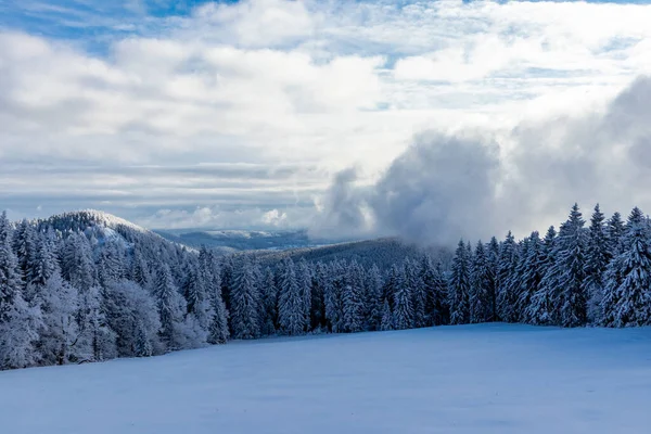 Winter Wonderland Thuringian Forest Schneekopf Thuringia Germany — Stok fotoğraf