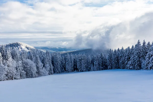 Winter Wonderland Thuringian Forest Schneekopf Thuringia Germany — Stock Photo, Image