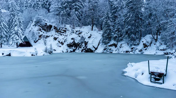 Beautiful Winter Hike Mountain Lake Rennsteig Floh Seligenthal Germany — Stock fotografie
