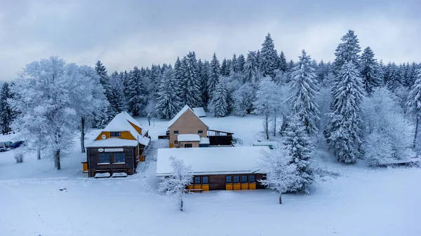 Winter Walk Winter Wonderland Thuringian Forest Steinbach Hallenberg Germany — Stockfoto