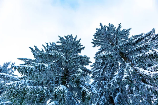 Beautiful Winter Hike Mountain Lake Rennsteig Floh Seligenthal Germany — Stock fotografie