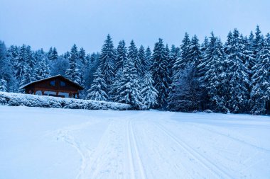 Beautiful winter hike to the mountain lake on the Rennsteig near Floh-Seligenthal - Germany