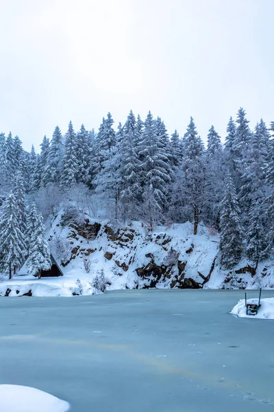 Beautiful Winter Hike Mountain Lake Rennsteig Floh Seligenthal Germany — Stockfoto