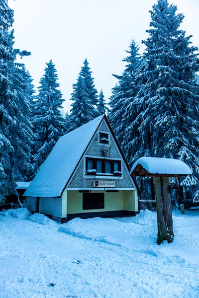 Beautiful Winter Hike Mountain Lake Rennsteig Floh Seligenthal Germany — стоковое фото