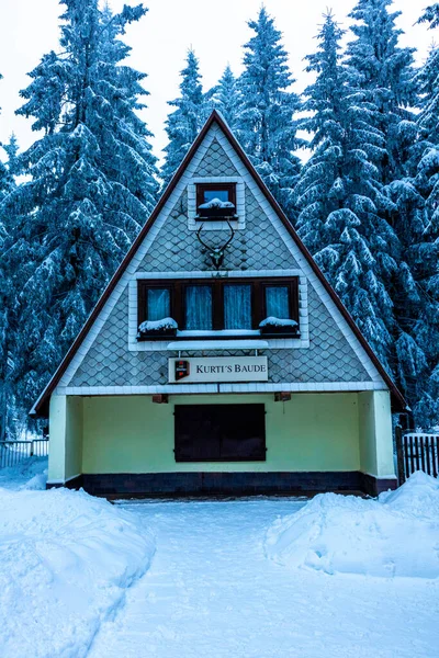 Beautiful Winter Hike Mountain Lake Rennsteig Floh Seligenthal Germany — Stock Fotó