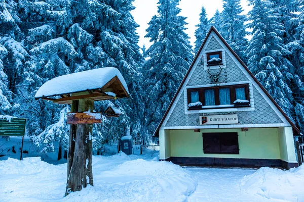 Beautiful Winter Hike Mountain Lake Rennsteig Floh Seligenthal Germany — Stock fotografie