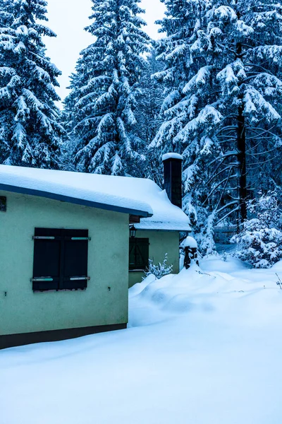 Beautiful Winter Hike Mountain Lake Rennsteig Floh Seligenthal Germany — Stock Fotó