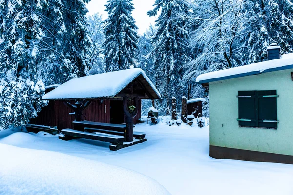 Beautiful Winter Hike Mountain Lake Rennsteig Floh Seligenthal Germany — Foto de Stock