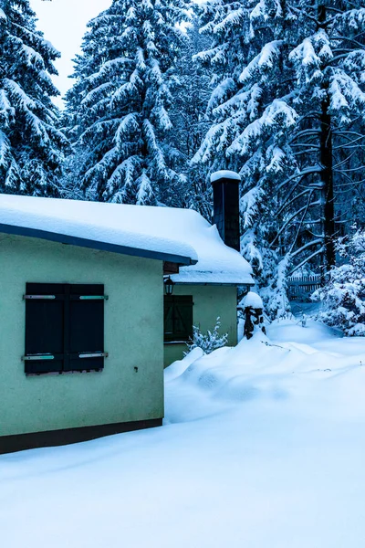 Beautiful Winter Hike Mountain Lake Rennsteig Floh Seligenthal Germany — Photo