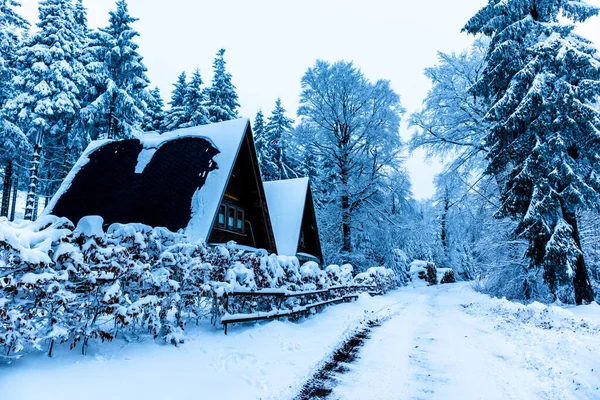 Beautiful Winter Hike Mountain Lake Rennsteig Floh Seligenthal Germany — Stockfoto