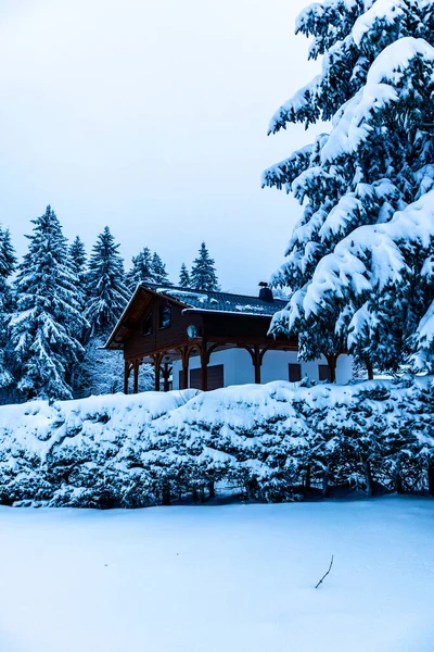 Beautiful Winter Hike Mountain Lake Rennsteig Floh Seligenthal Germany — Zdjęcie stockowe