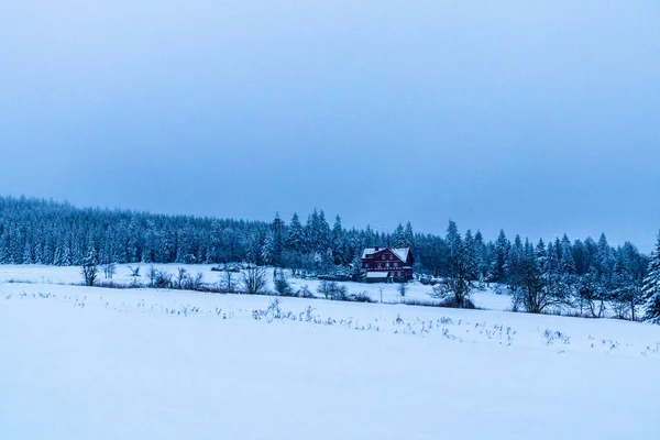 Beautiful Winter Hike Mountain Lake Rennsteig Floh Seligenthal Germany — Photo