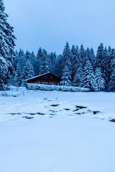 Beautiful Winter Hike Mountain Lake Rennsteig Floh Seligenthal Germany — Photo