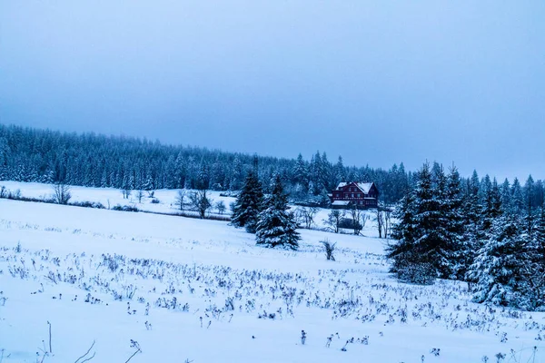 Beautiful Winter Hike Mountain Lake Rennsteig Floh Seligenthal Germany — Photo
