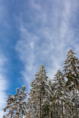 Rennsteig boyunca Almanya 'nın en güzel Kış Diyarı' nda bir kış yürüyüşü daha.