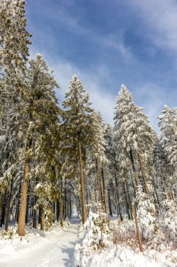 Rennsteig boyunca Almanya 'nın en güzel Kış Diyarı' nda bir kış yürüyüşü daha.