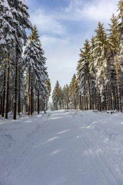 Rennsteig boyunca Almanya 'nın en güzel Kış Diyarı' nda bir kış yürüyüşü daha.