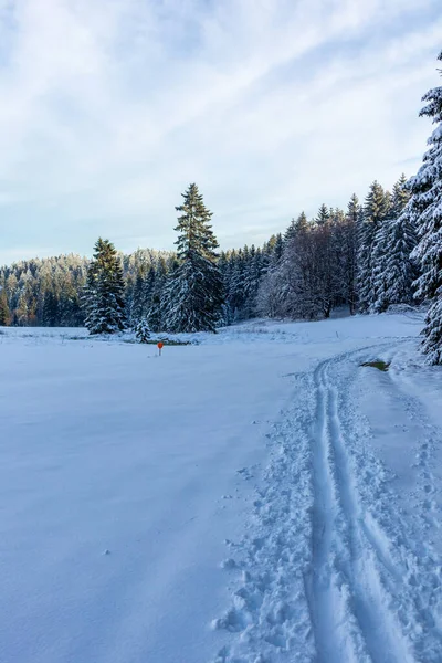 Outro Passeio Inverno Longo Rennsteig Mais Bela Winterwunderland Alemanha — Fotografia de Stock