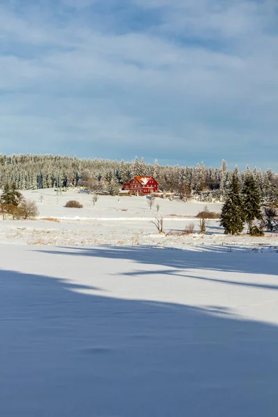 Kolejny Spacer Zimowy Wzdłuż Rennsteig Najpiękniejszym Winterwunderland Niemcy — Zdjęcie stockowe