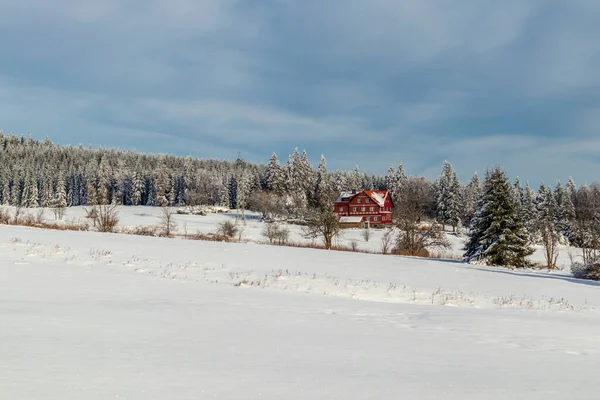 Otro Paseo Invierno Largo Del Rennsteig Winterwunderland Más Hermoso Alemania — Foto de Stock